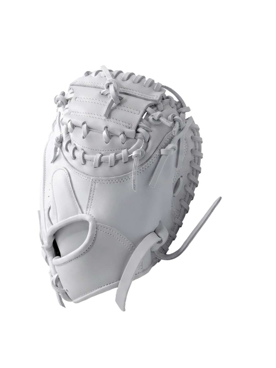 Catcher Web